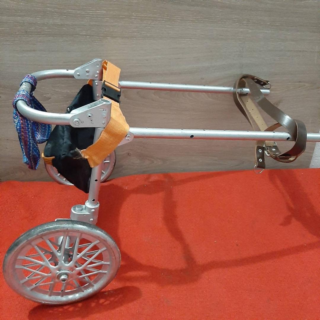 Инвалидная коляска для животных